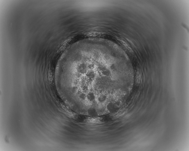 X0000096420569200802141637