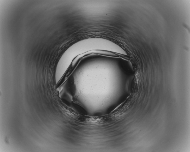 X0000096420570200802141637