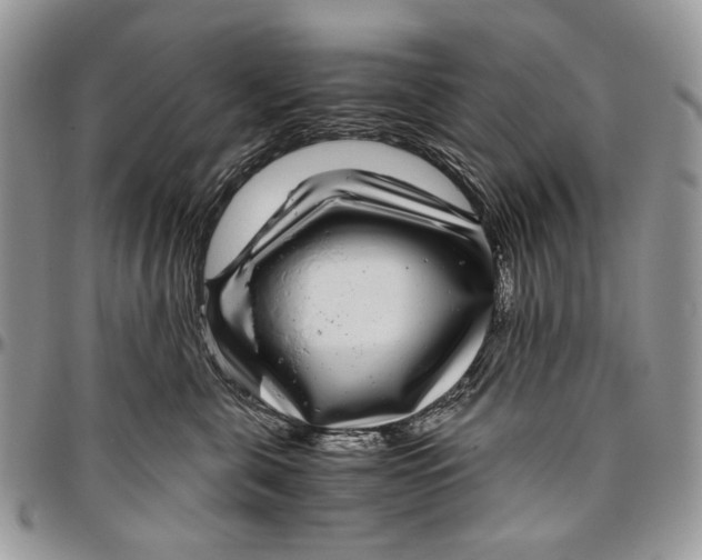 X0000096420571200802141637