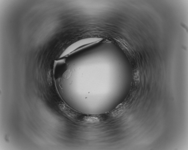 X0000096420572200802141637