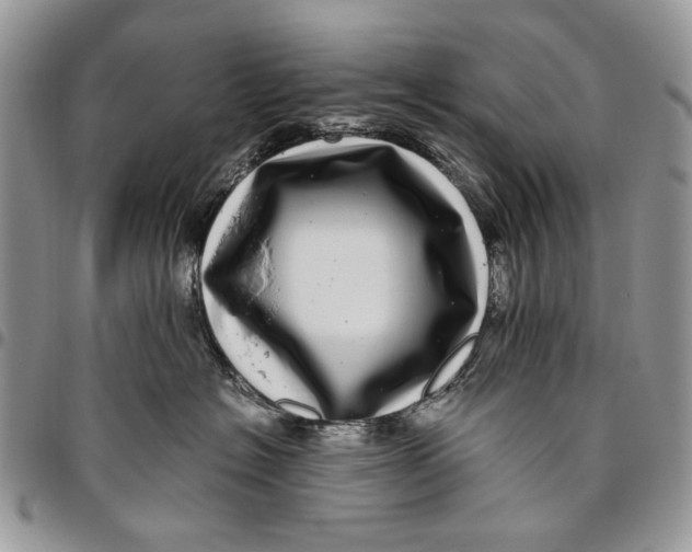 X0000096420574200802141637