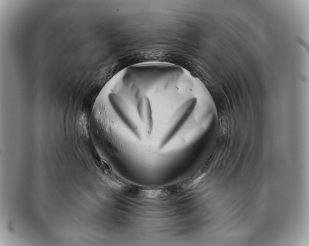 X0000096420575200802141637