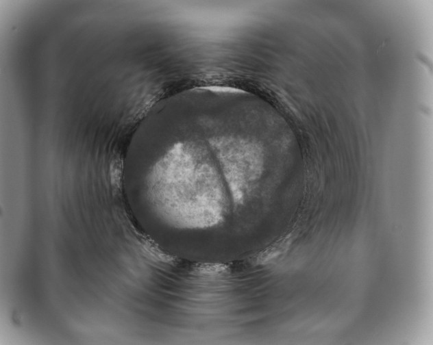 X0000096420576200802141637