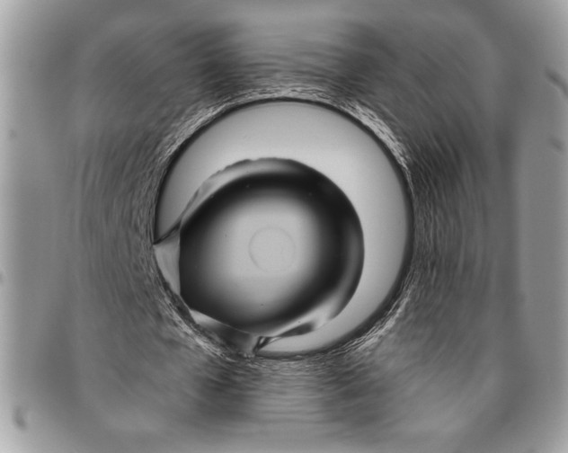 X0000096420577200802141636