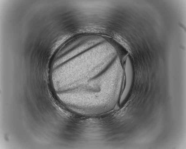 X0000096420578200802141636