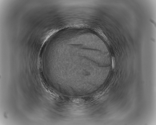 X0000096420579200802141636