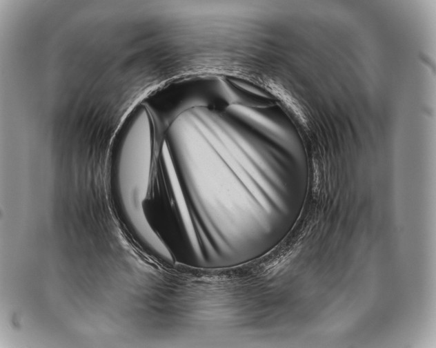 X0000096420580200802141636