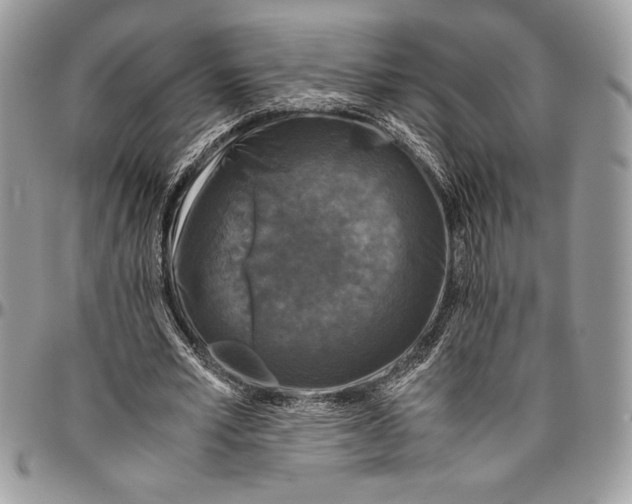 X0000096420581200802141636