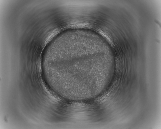 X0000096420582200802141636