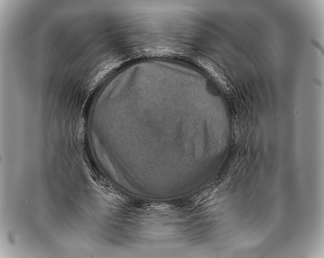 X0000096420583200802141636