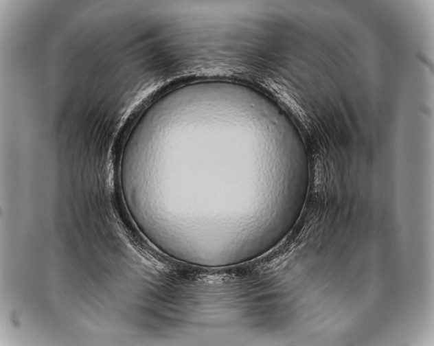 X0000096420584200802141636