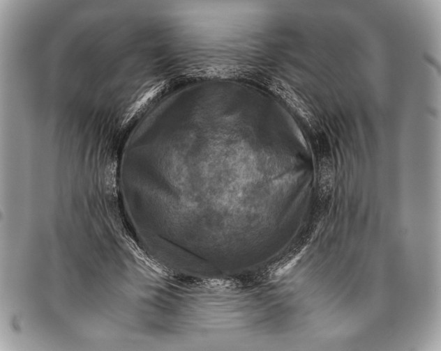 X0000096420585200802141636