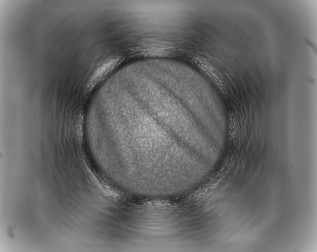 X0000096420586200802141636