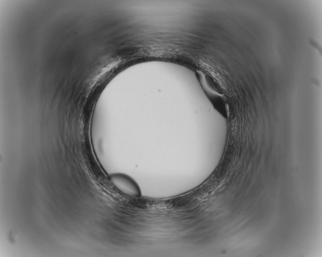 X0000096420587200802141636