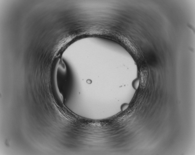 X0000096420588200802141636