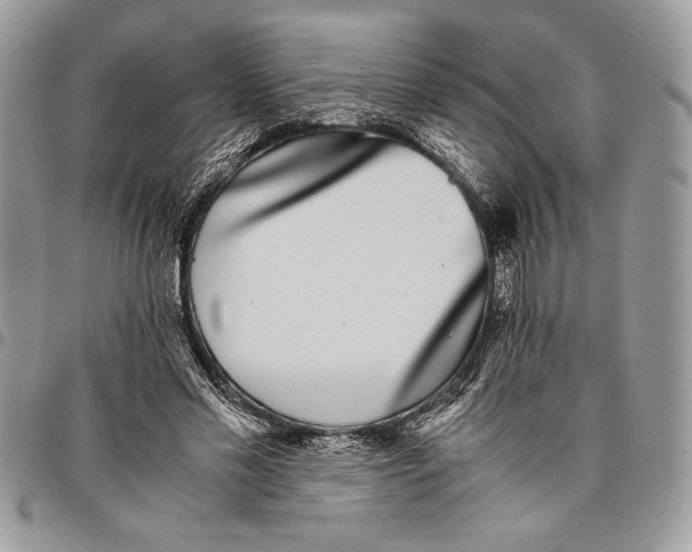 X0000096420589200802141636