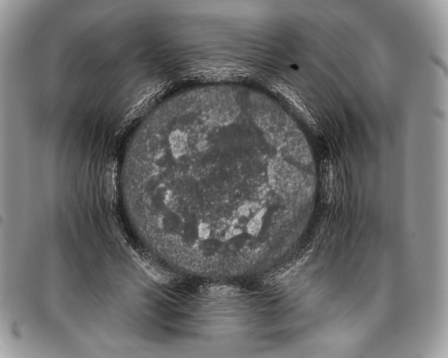 X0000096420590200802141636