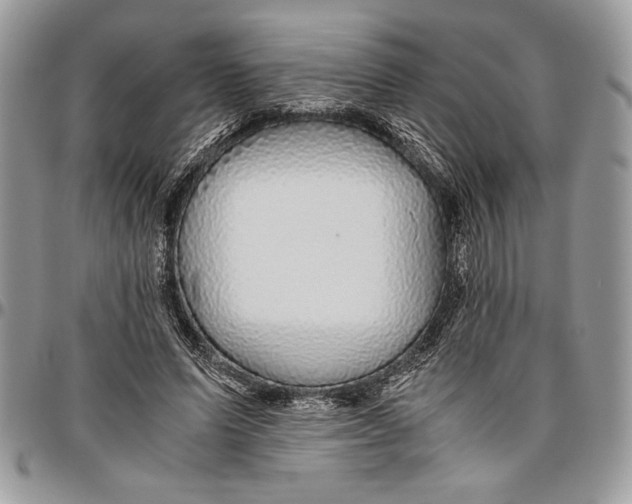 X0000096420591200802141636