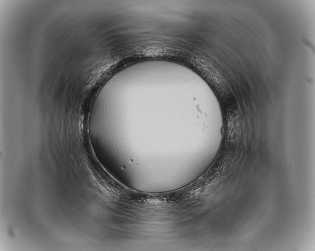 X0000096420592200802141636