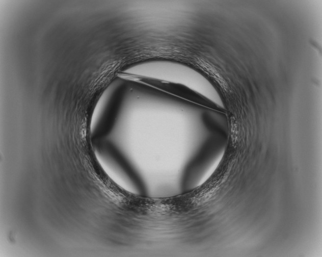 X0000096420593200802141636