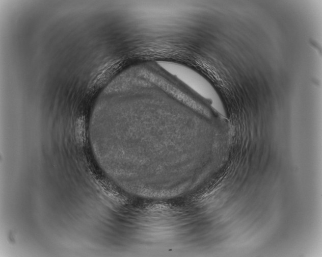 X0000096420594200802141636