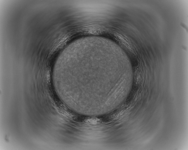 X0000096420595200802141636