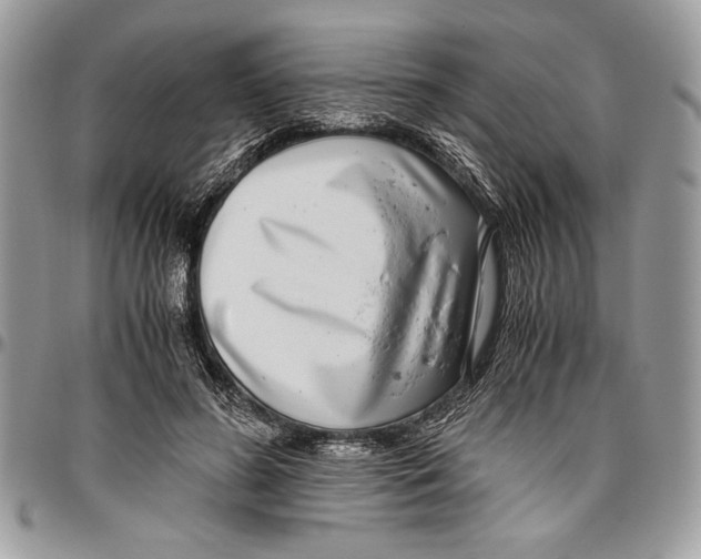 X0000096420596200802141636