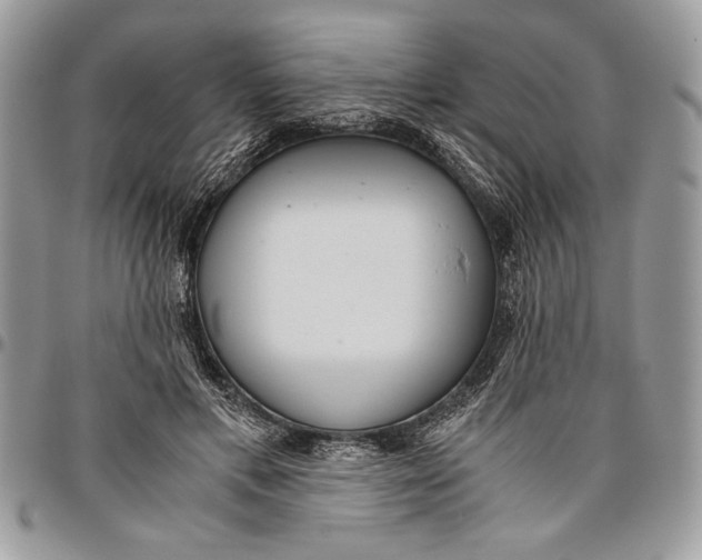 X0000096420597200802141636