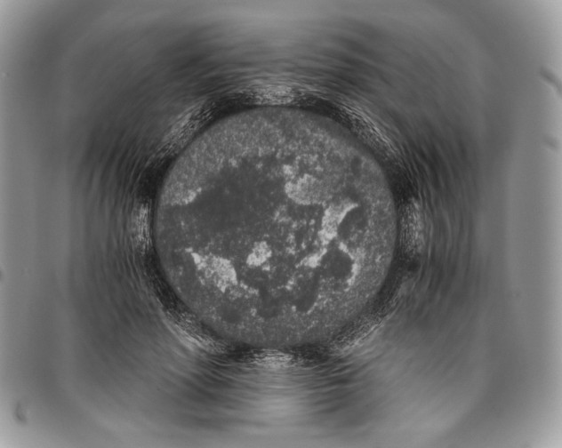 X0000096420598200802141636