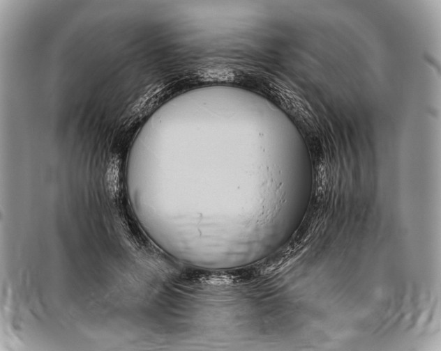 X0000096420600200802141636