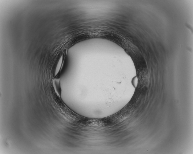 X0000096420601200802141636