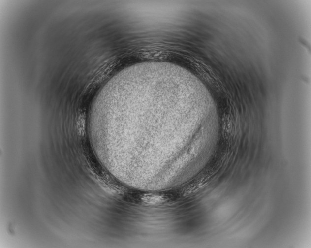 X0000096420602200802141636