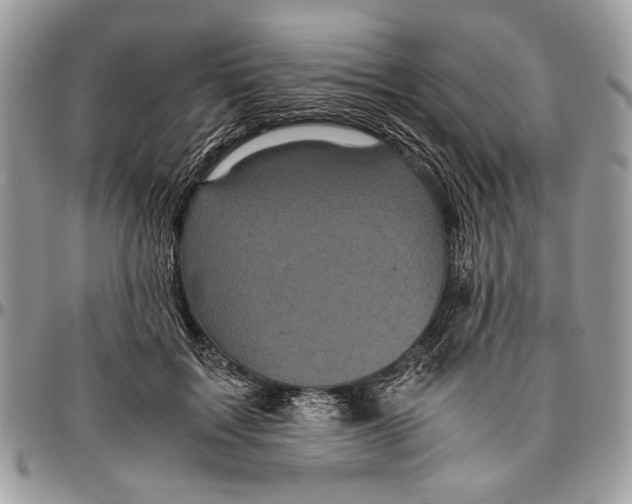 X0000096420603200802141636