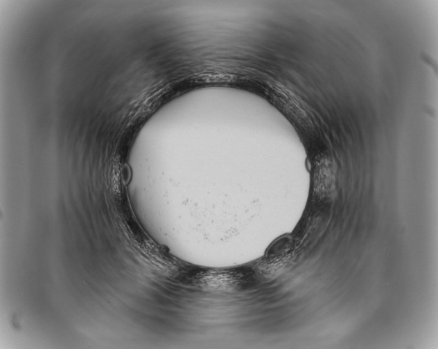 X0000096420604200802141636