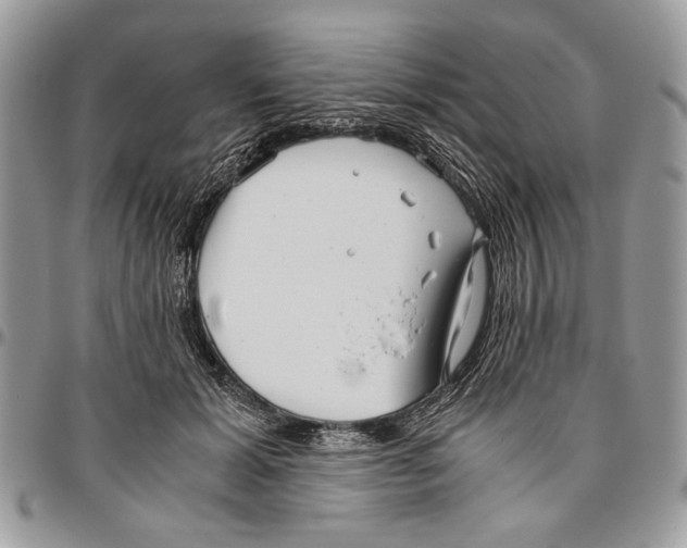 X0000096420605200802141636