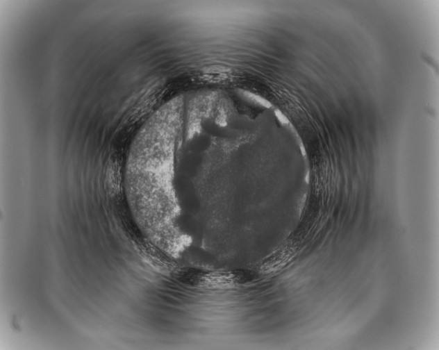 X0000096420606200802141636