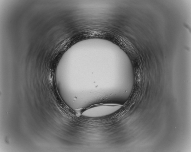 X0000096420607200802141636