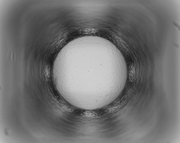 X0000096420608200802141636