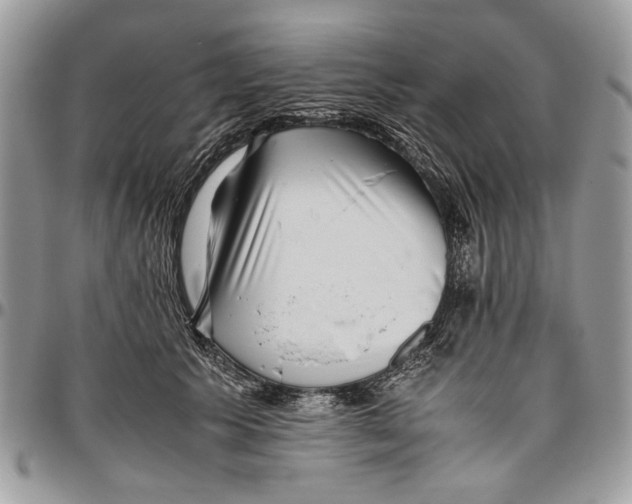 X0000096420609200802141636