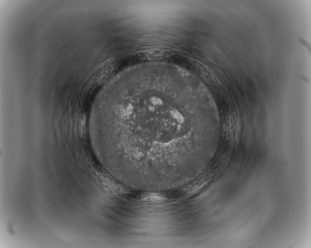 X0000096420610200802141636