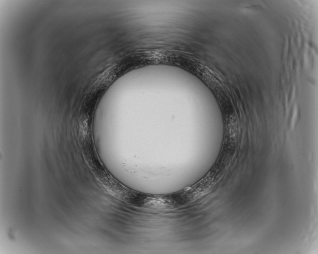 X0000096420611200802141636