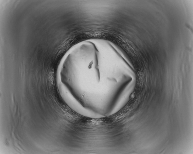 X0000096420612200802141636