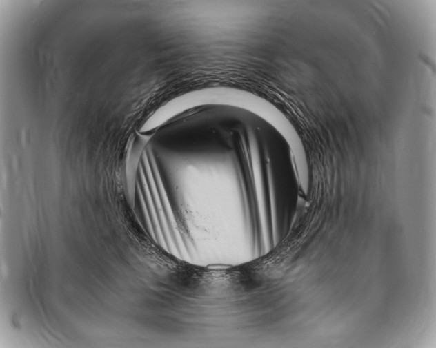 X0000096420613200802141636