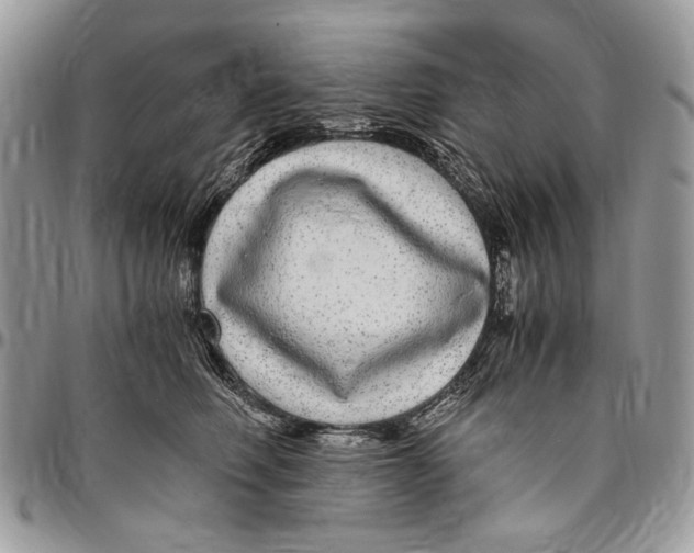 X0000096420614200802141636