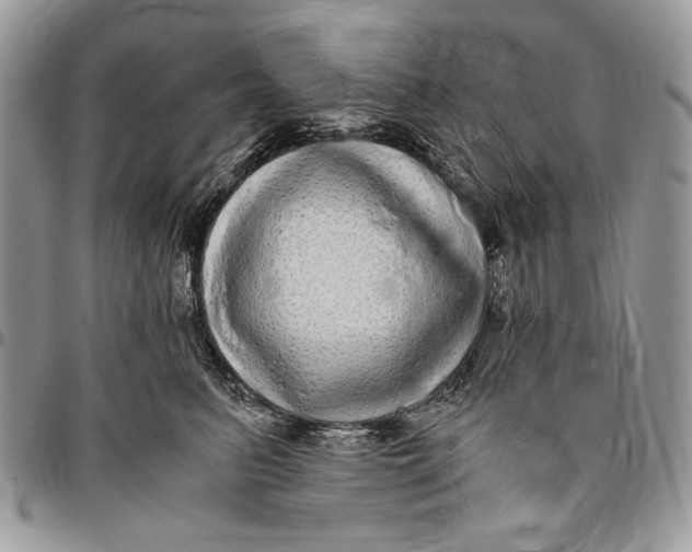 X0000096420615200802141636