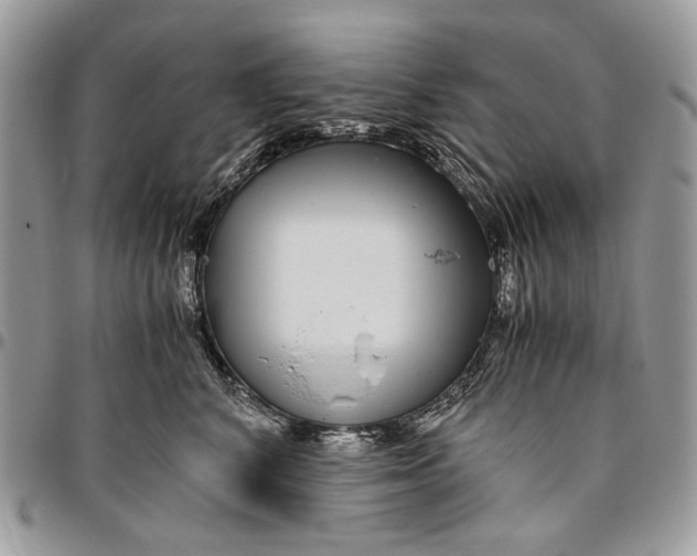 X0000096420616200802141636