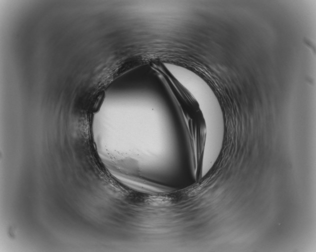 X0000096420617200802141636