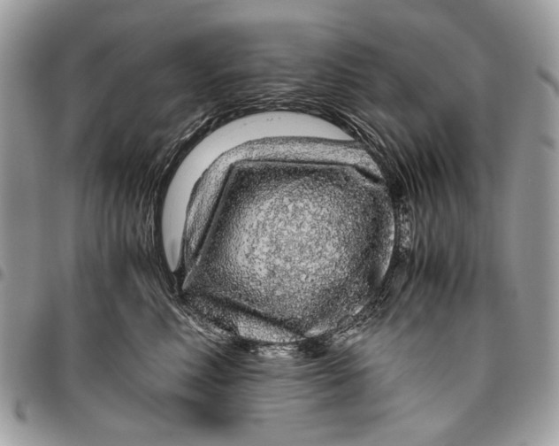 X0000096420618200802141636