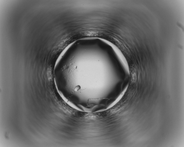 X0000096420620200802141636