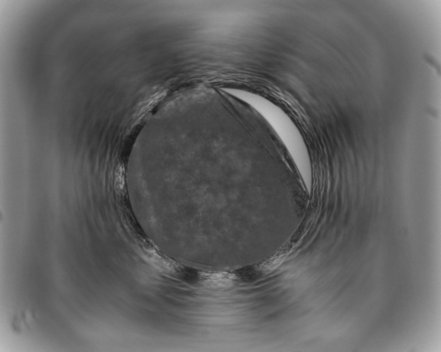 X0000096420621200802141636